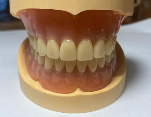 comprar Fácil de limpar Dentadura completa de acrílico Muito elástica para uso a longo prazo Fabricação em linha