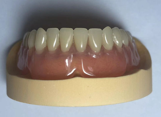 Laboratório Dentário Dentes de Arco Completo Acrílico Fácil de Usar Com Forma Natural